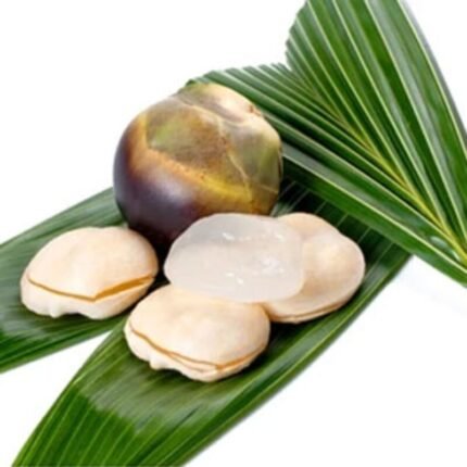 ICE APPLE (NONGU) IN QATAR
