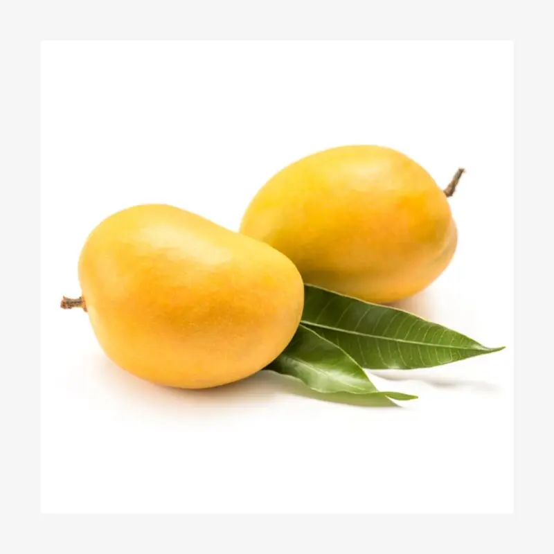 MANGO (RIPE) ALPHONSA INDIA IN QATAR