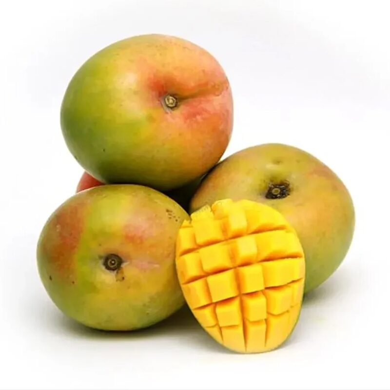RUMANI MANGO IN QATAR