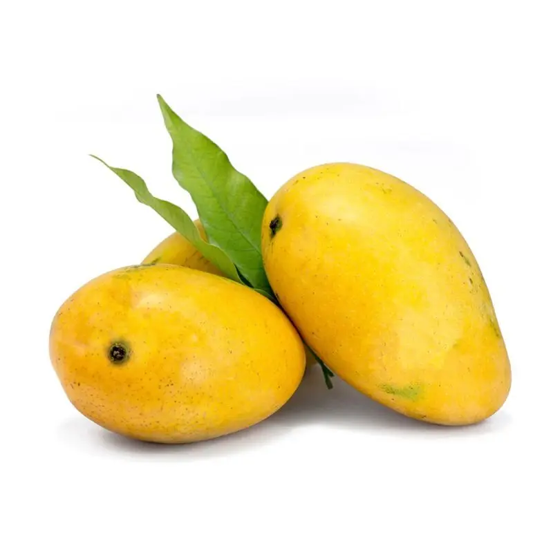 BADAMI MANGO IN QATAR