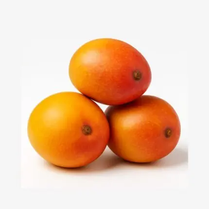 MANGO JAVVADU INDIA IN QATAR