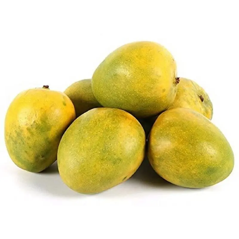 MALGOVA MANGO IN QATAR