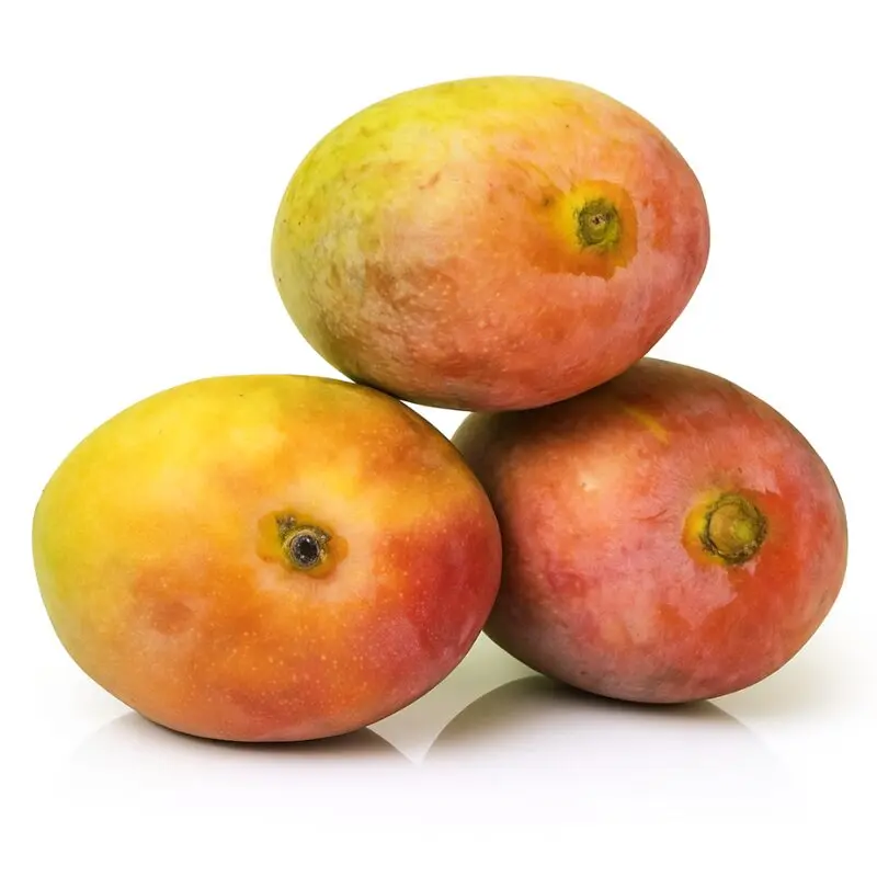 MANGO (RIPE) SENTURA INDIA IN QATAR
