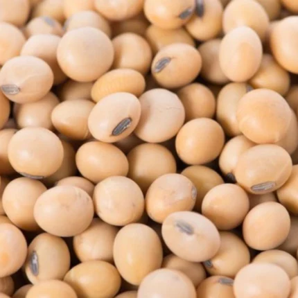PEALED SOYA BEANS 250G