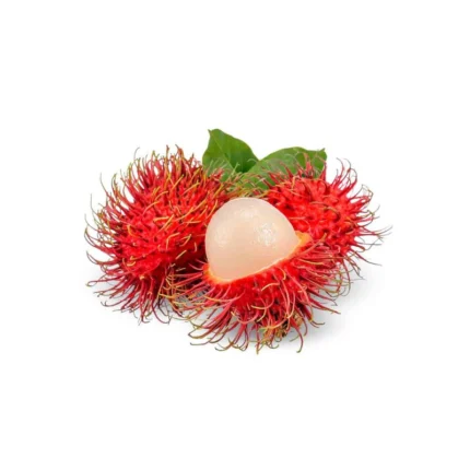 RAMBUTAN IN QATAR