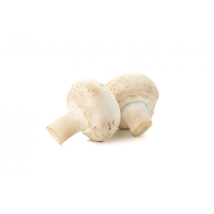 WHITE MUSHROOMS IN QATAR